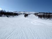 Piste facile dans la partie inférieure du Kåppasliften