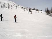 Piste n° 150 Look Out