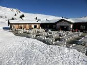 Restaurant de montagne Steil'Alva - Radons