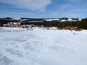 Piste facile Barnbacken