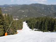 Pente raide à Mechi Chal