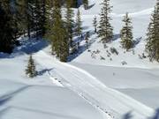 Piste de ski de fond Wurzeralm