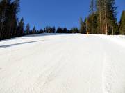 Descente difficile de Geols jusqu'à la station inférieure de la Panoramabahn Geols