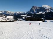 Piste au télésiège Floralpina
