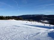 Pistes faciles aux remontées Thurnhof