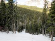 La descente dans les Monster Glades est très raide.