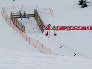 TK Lady - Télécorde/remonte-pente à câbles bas