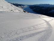 Piste fraîchement préparée