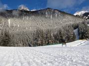 Très bonne préparation des pistes dans le domaine skiable Fairmont Hot Springs
