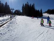 Tapis roulant avec piste d'entraînement