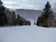 Piste intermédiaire Isola C