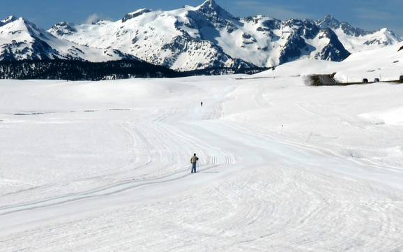 Ski nordique Pyrénées centrales/Hautes-Pyrénées – Ski nordique Baqueira/Beret