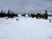 Piste facile et large Barnbackarna