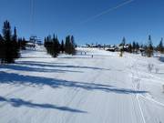 Piste facile Vesleseterbakken