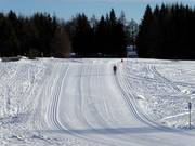 Pistes de ski de fond au centre de ski nordique Viote