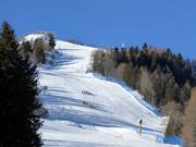 Pistes noires Zoncolan 1