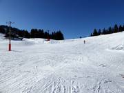 Piste facile Grafenherbergschuss