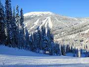 Vue depuis le Mt. Morrisey vers le Top of the World