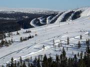 Bon plan pour les enfants : 