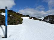Piste de ski de fond à Falls Creek