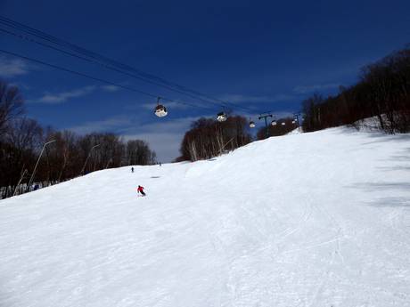 Diversité des pistes Canada central – Diversité des pistes Tremblant