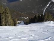 Large et raide descente en forêt