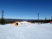 Bon plan pour les enfants : 