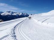 Piste de ski de fond d'altitude Motta Naluns