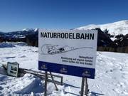 Bon plan pour les enfants : 