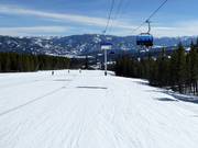 Descente Take a Bough