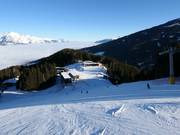 Descente standard FIS