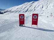 Courses de ski