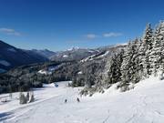 Vue sur le domaine skiable depuis le Großberg en direction de Neuberg