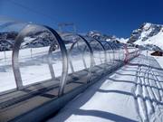 Espace débutant avec tapis roulant