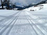 Piste de ski de fond à Hinterthiersee