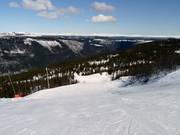 Piste de liaison Linken