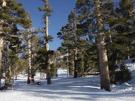 Domaines skiables pour skieurs confirmés et freeriders Sierra Nevada (USA) – Skieurs confirmés, freeriders Heavenly