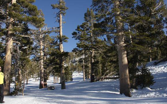 Domaines skiables pour skieurs confirmés et freeriders Nevada – Skieurs confirmés, freeriders Heavenly