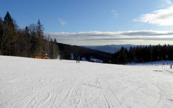 Domaines skiables pour les débutants dans la Ferienregion Böhmerwald (région touristique de la Forêt de Bohême) – Débutants Hochficht
