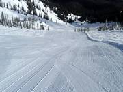 Piste damée dans la Cedar Bowl