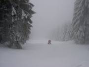 Descente en forêt au Wurmberg