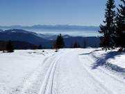 Piste de ski de fond sur la Hochrindl