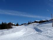 Pistes de ski de fond à Hafjell