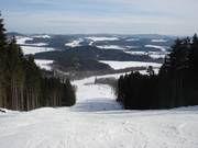 Large piste à travers des couloirs forestiers