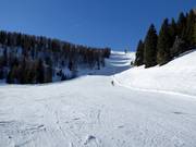 Piste difficile n° 5 Strafaiole