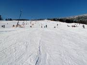 Piste facile au Kleiner Fichtelberg