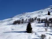 Vue sur la piste difficile Carlo Janka avec des pentes de neige profonde