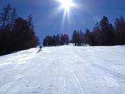 Section raide pour experts