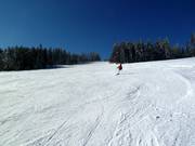 Piste de difficulté moyenne au téléski Kleiner Almberg