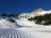 Très bonne préparation des pistes